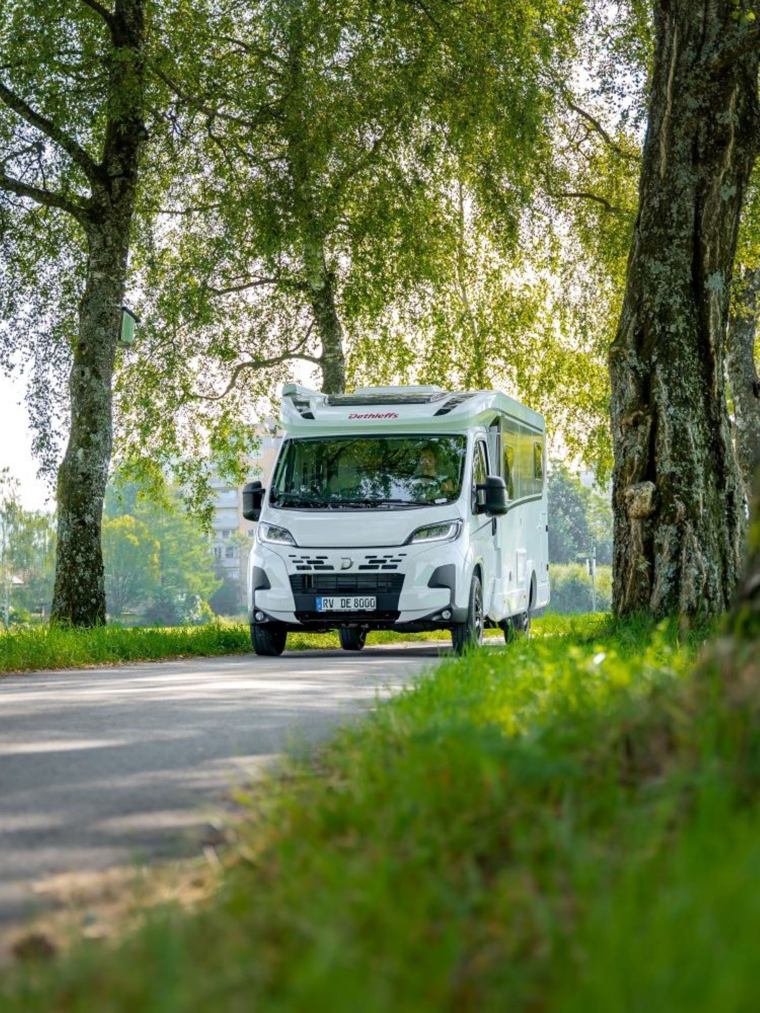 Dethelffs half integraal